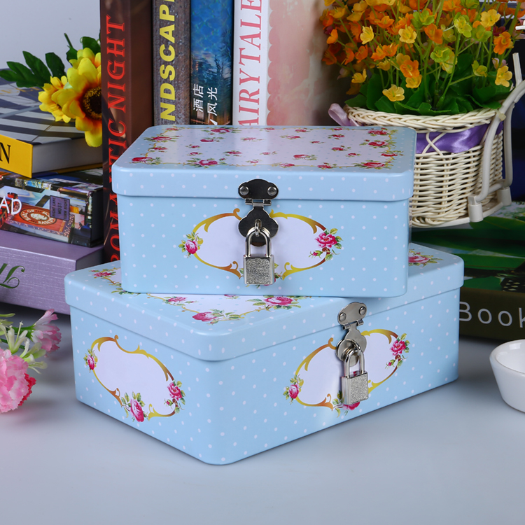 Tin case with lock.jpg